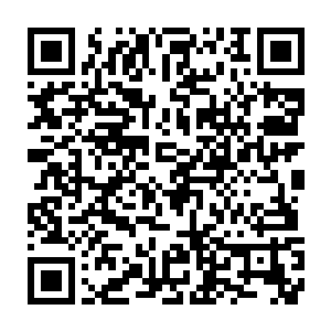 金衣老者这燃烧自身精血所发出的惊天一击并没有把金色的大网崩碎二维码生成