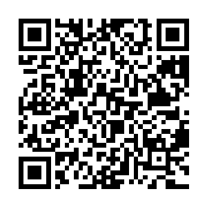 金身神念就是这世界少有的还能对地仙起作用的宝贝二维码生成