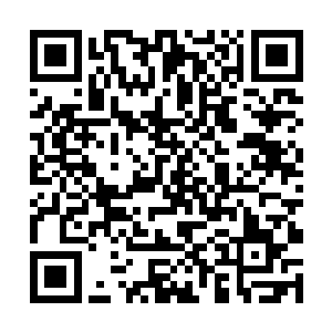 金辰界界主金蛟真人名的珍宝轩都会举办一次拍卖会二维码生成