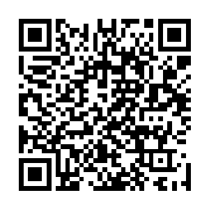 金雨薇倒是更信任脸上总是挂着阳光般笑容的同办公室同事二维码生成