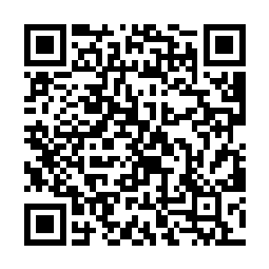 金雨薇经理还是跟以前一样一身干练的职业女性打扮二维码生成