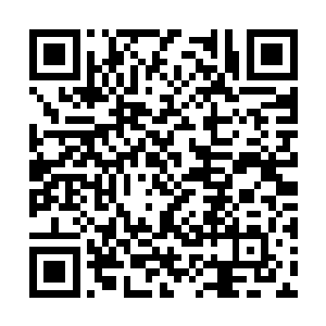 金雨薇见夏云杰把其他人都给挡在了他的身体后面二维码生成