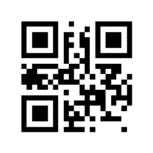 金饰二维码生成