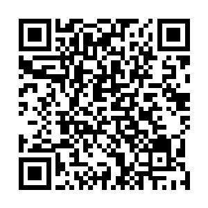 金鲨族配备的物资中大部分就是针对深渊海沟本身危险的二维码生成