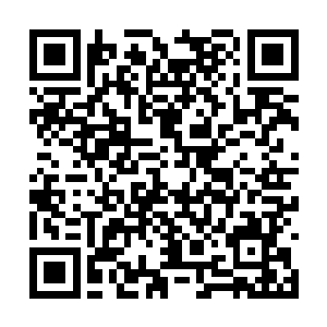 金鳞龙鱼化龙前本就是具有隐匿了一切气息的特性二维码生成