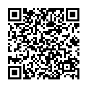 金鼎娱乐会所附属的金鼎拳场十几个擂主级别的高手二维码生成