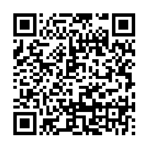 金龙大酒店前的气派景致也吸引了不少过往的路人二维码生成