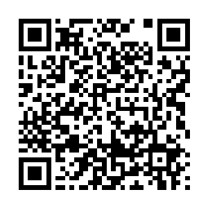 金龙曾经从长辈口中听说了太多关于屠龙士的厉害传说二维码生成