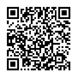 金龙说着话那巨大的眼眸却是带着一些不明意味看着两人二维码生成