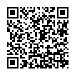 鉴于两姐妹迸发出对沈家难以言表的仇恨和厌恶二维码生成