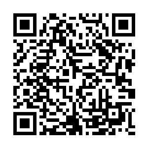 针对红地毯各大艺人服装品味表现的评选榜单数不胜数二维码生成