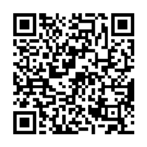 针灸减肥的机理主要是调整人体的代谢功能和内分泌功能二维码生成
