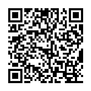 钟丽慧只好咬咬牙又回过头去试着给之前的那个陈编打电话二维码生成