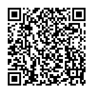 钟宅只有钟池用夫妻和闻春意再加上过来守院子的冷若宽子夫妻两人二维码生成