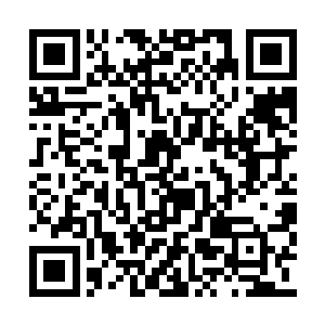 钟明然瞧着自家娘亲当他是不懂事的孩子般教导二维码生成