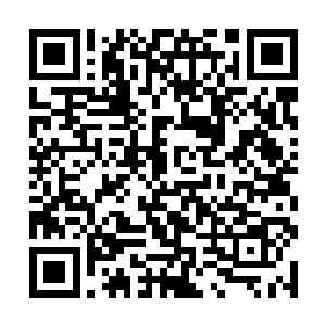 钟杨颖看着满头大汗一脸着急敲开总统套房的万大鹏二维码生成