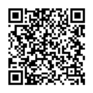 钟樊这一连串电光火石般的念头完全猜中了事实二维码生成