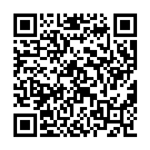 钟池春直接分了身边一个小厮过来给闻春意使唤二维码生成