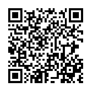 钟池画和钟池南两家人已经前往钟家三老爷的院子二维码生成