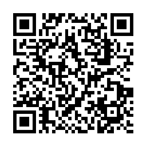 钢弹儿对洪大力那也是忠诚一百的――这货也受光环影响二维码生成
