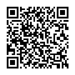 钢锹一下子就全部嵌入到那坚硬厚实的泥土之中二维码生成