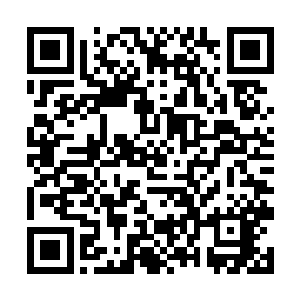钱万贯战无双云菲还有钱家的人眼眸都同时亮了起来二维码生成