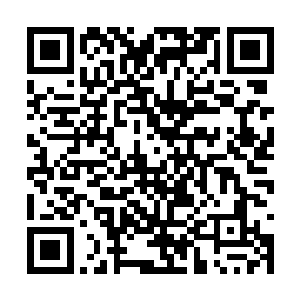 钱师傅的老婆回来之后没过多久就发现自己怀孕了二维码生成