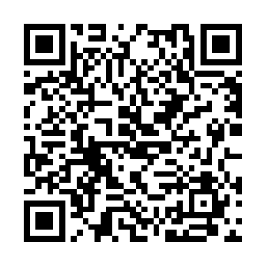 钱队命令手下将死掉的那名流沙高手给装上警车了二维码生成