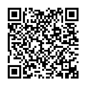 钻入银月小姐体内的荒野之神顿时痛苦地哀嚎不已二维码生成