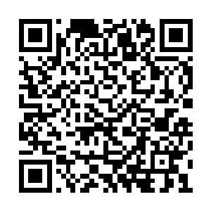 钻进卢向东鼻翼里的不是党玉身上特有的桂花香二维码生成