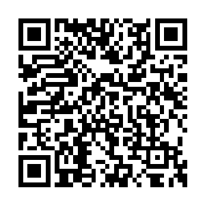 铁尘部族首领格拉图带着自己的战士回到了巢穴二维码生成