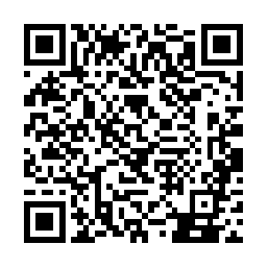 铁心鬼佣就相当于埃及的木乃伊是会有复活的一天的二维码生成