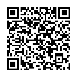 铁战以前常在帝都城外的孤山之上给娘亲采集草药二维码生成