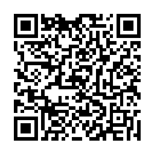 铁战将有关于蛮荒古兽的记录一一的记在脑海当中二维码生成