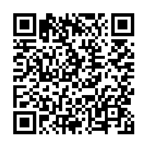 铁战无论如何也不敢相信它的幼体竟然会只有这么一丁点二维码生成