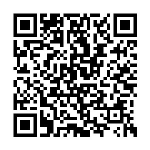 铁战此刻也绝对没有把握一举击杀碎星海的修士二维码生成