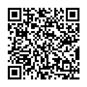 铁战眼前这绝壁比山下至云来殿的峭壁不知道要高出多少倍二维码生成