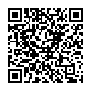 铁拳会和乱刃堂的高年级学生还将展开更加激烈的角逐二维码生成