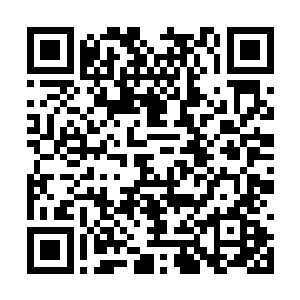 铁拳军主力原本就在寻找和蒸汽军战略决战的机会二维码生成