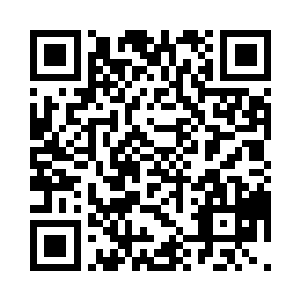 铁皮蝾螈的整个身体慢慢变得透明起来二维码生成