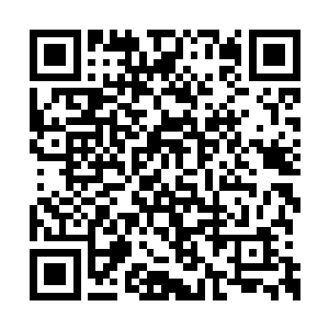 铁皮蝾螈被吓得像受惊的猫一样一下子跳了起来二维码生成