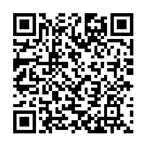 铁胎果带来的效果与初级恢复之躯的效果组合在一起二维码生成