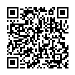 铁锤从屋里拿出了一把锈迹斑斑的大砍刀抛给林锐二维码生成