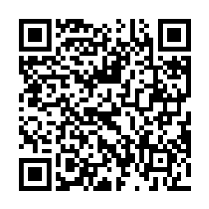 铃木天雄和坂田冈姆的人时时刻刻盯着德川佳子的动静二维码生成