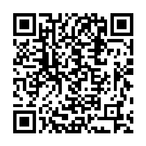 铃铛化作小姑娘抱着一只比她的身子还大的蛇尾巴回来了二维码生成