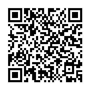 铃铛醒来就看到林烽正一片饶有兴趣看着那些翼蛇姑娘们洗澡二维码生成