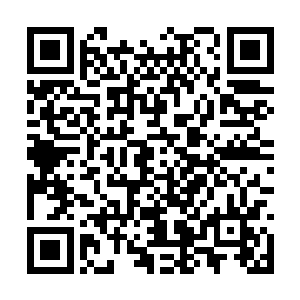 铜甲僵尸的脸上顿时也露出了一抹无比惊恐的神情二维码生成