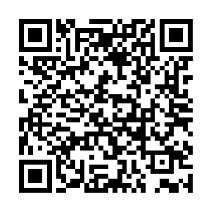 银海领袖说的无外乎是地宇宇宙曾被其他宇宙重创过二维码生成