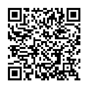 银狼米歇尔先生已经下令终止安莫尔的所有任务二维码生成