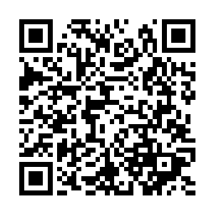 银白色战灵化成了精纯的意志能量涌入林铭的身体二维码生成